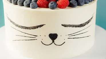 Торт «Ягодный котик»