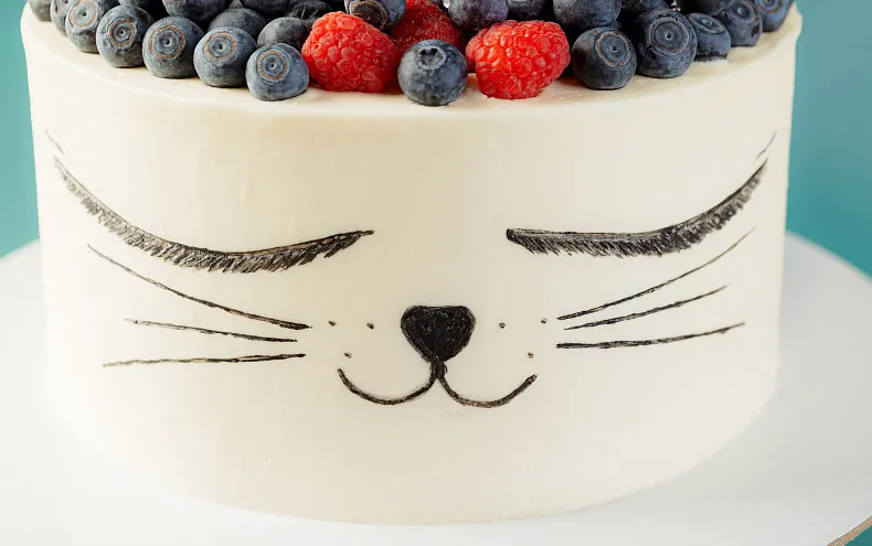 Торт «Ягодный котик»