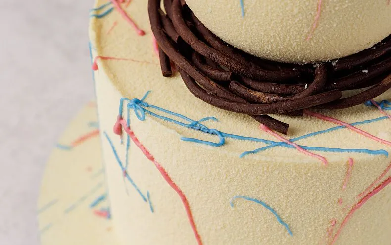 Торт «Долгожданный сюрприз»