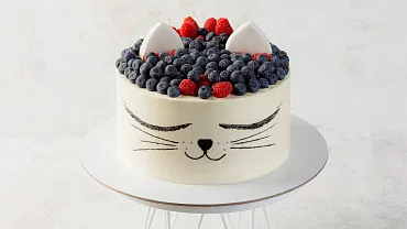 Торт «Ягодный котик»