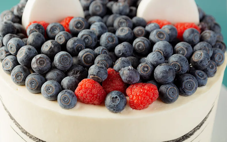 Торт «Ягодный котик»