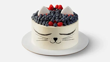 Торт «Ягодный котик»