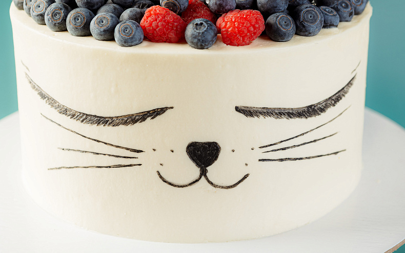 Торт «Ягодный котик»