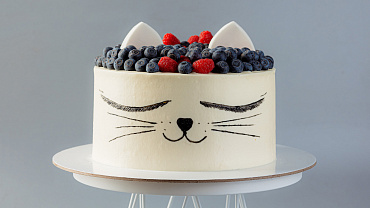 Торт «Ягодный котик»
