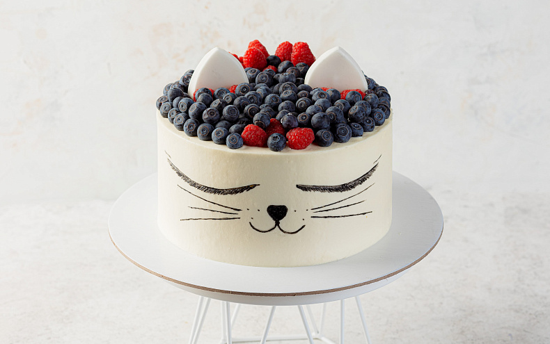 Торт «Ягодный котик»