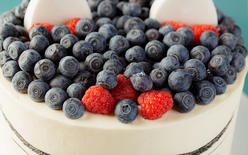 Торт «Ягодный котик»